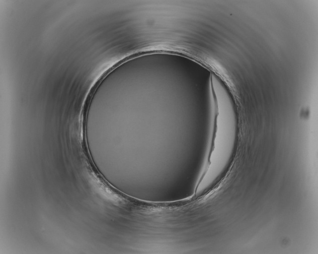 X0000091640892200709060935