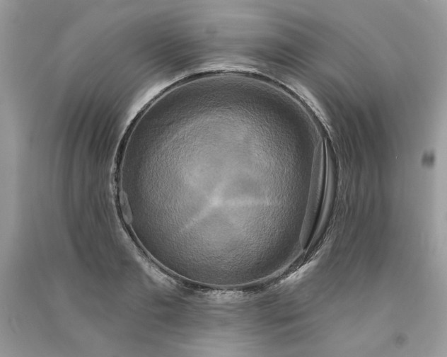 X0000091640893200709060935