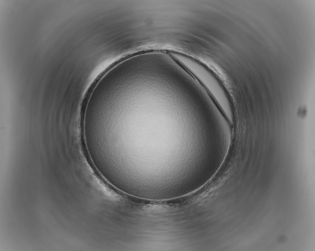 X0000091640894200709060935