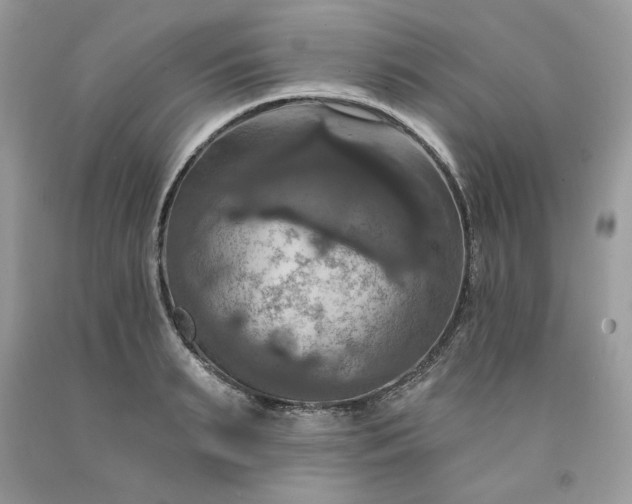 X0000091640895200709060935