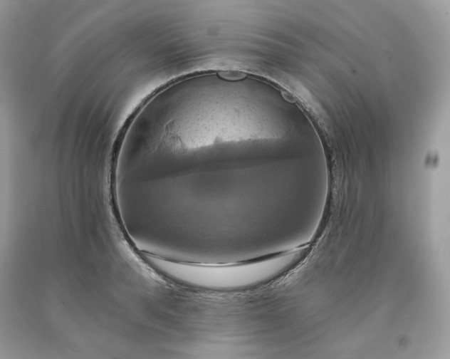 X0000091640896200709060935
