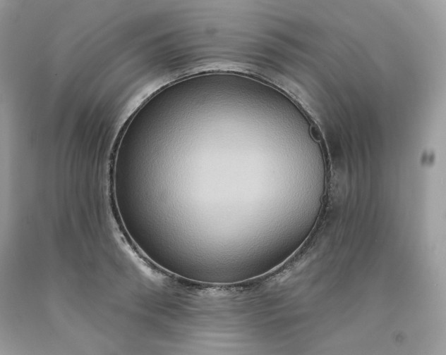 X0000091640898200709060935