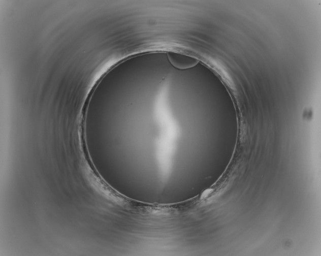 X0000091640899200709060935