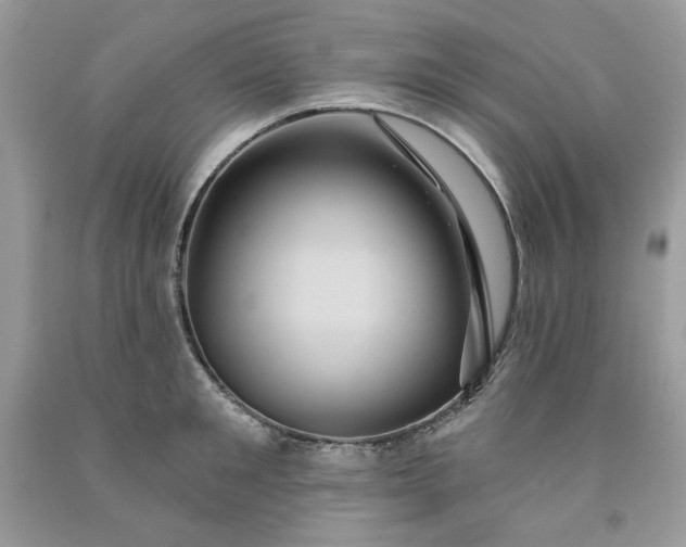 X0000091640901200709060935