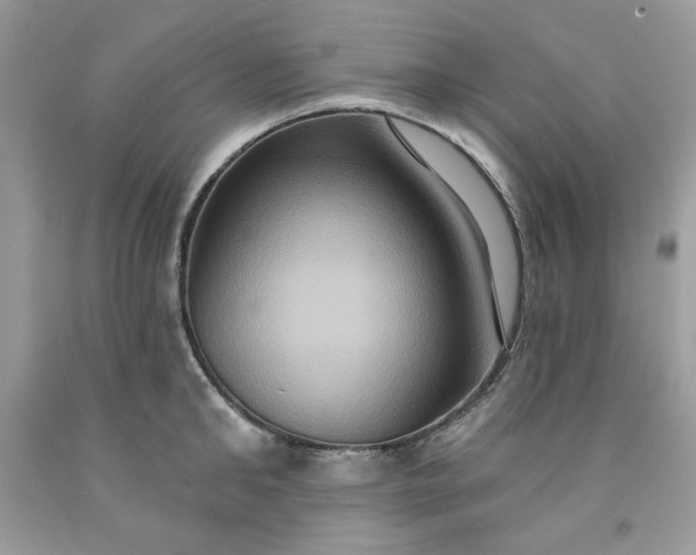 X0000091640902200709060935