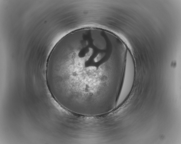 X0000091640903200709060935