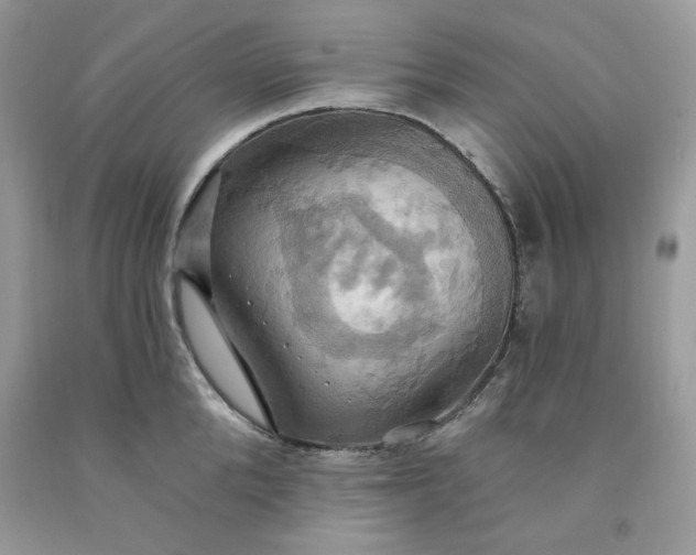 X0000091640904200709060935