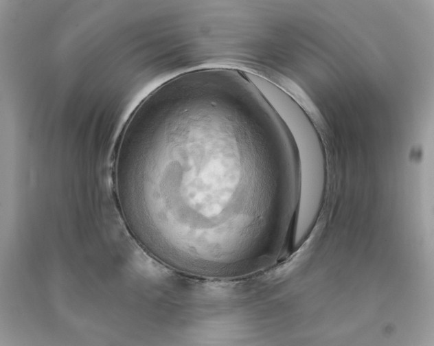 X0000091640908200709060935