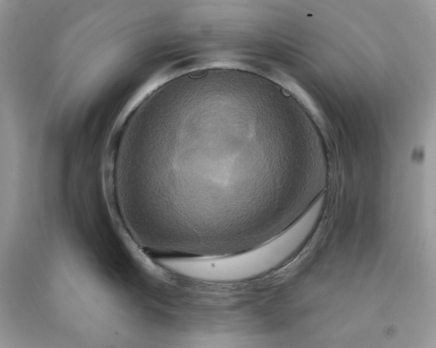 X0000091640910200709060935