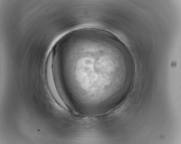 X0000091640912200709060935