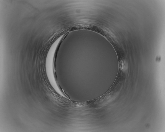X0000091640915200709060934