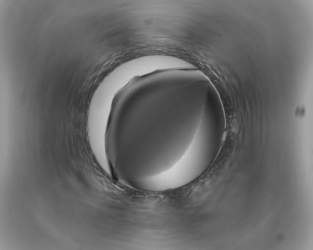 X0000091640916200709060934