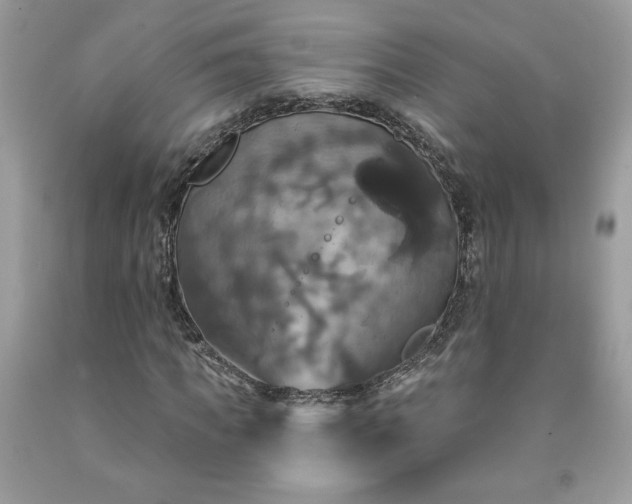 X0000091640917200709060934