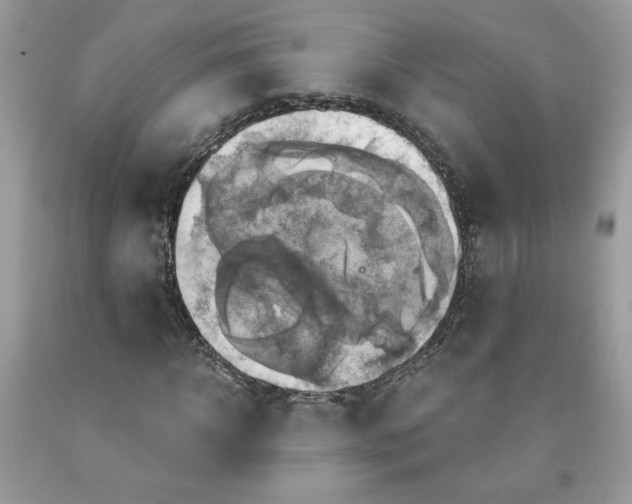 X0000091640918200709060934