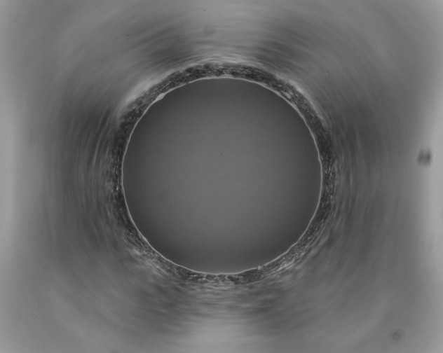 X0000091640919200709060934