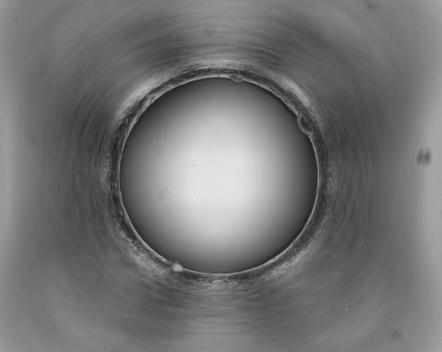 X0000091640922200709060934