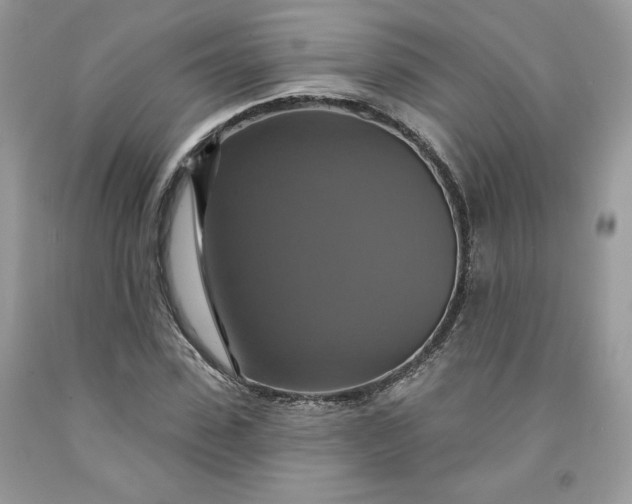 X0000091640923200709060934