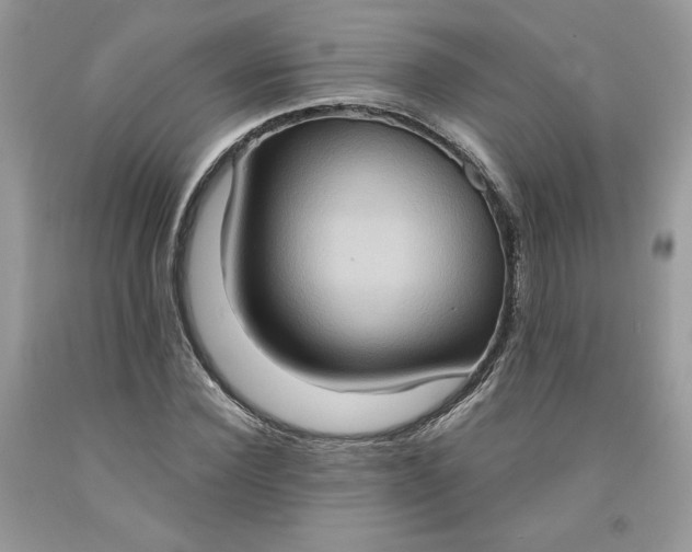 X0000091640924200709060934