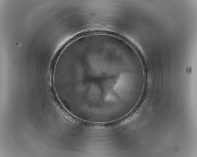 X0000091640925200709060934