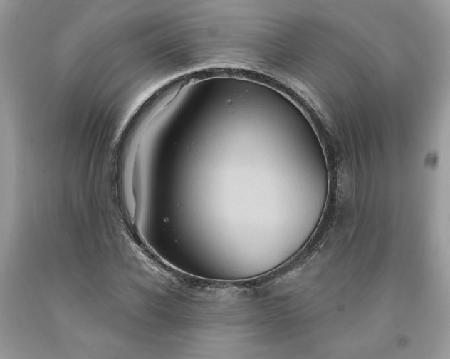 X0000091640926200709060934