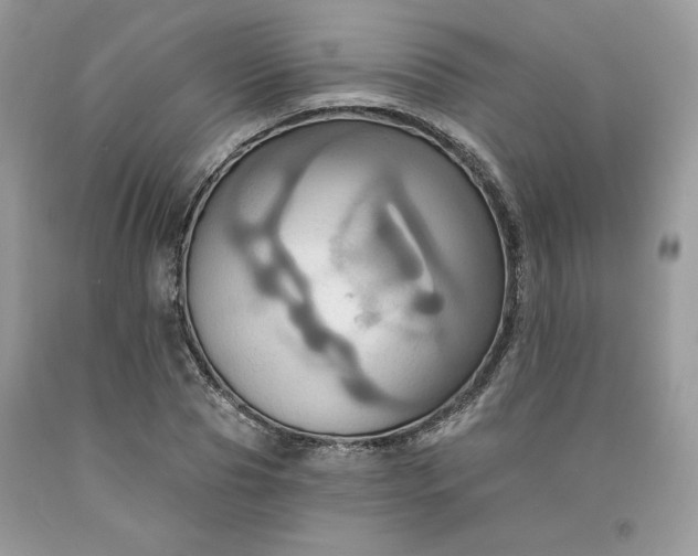 X0000091640929200709060934