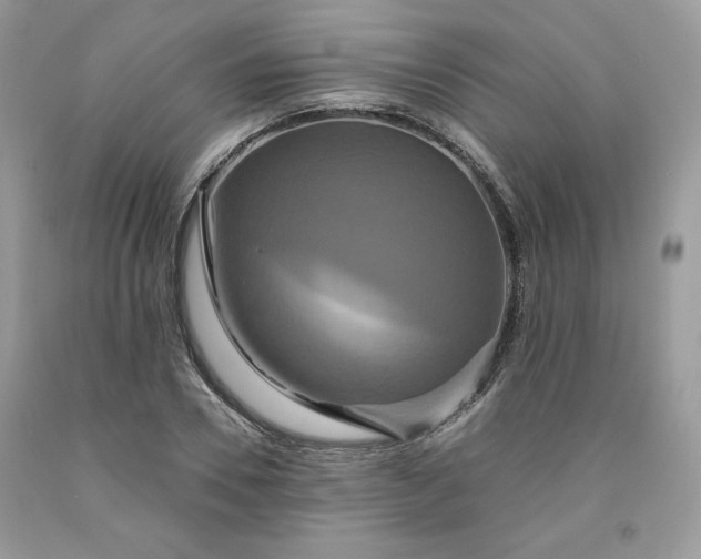 X0000091640930200709060934
