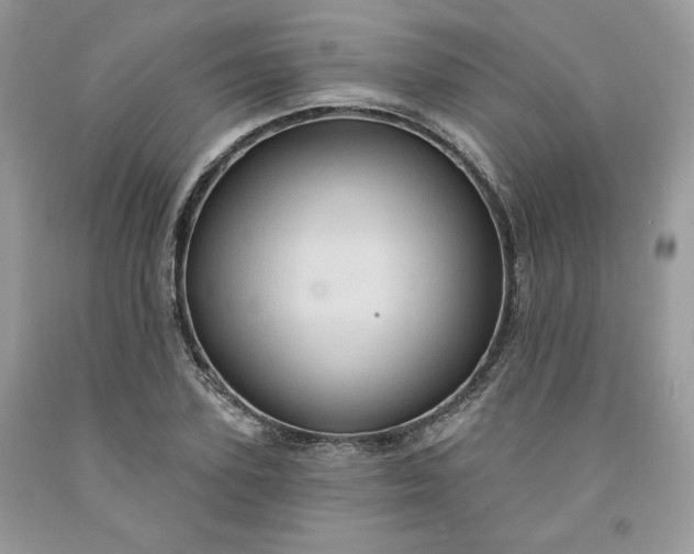 X0000091640931200709060934