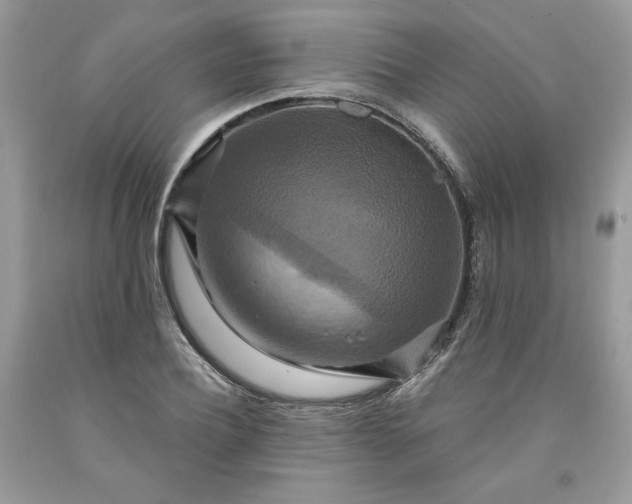 X0000091640932200709060934