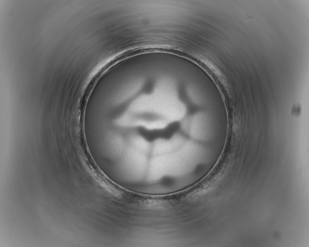 X0000091640933200709060934