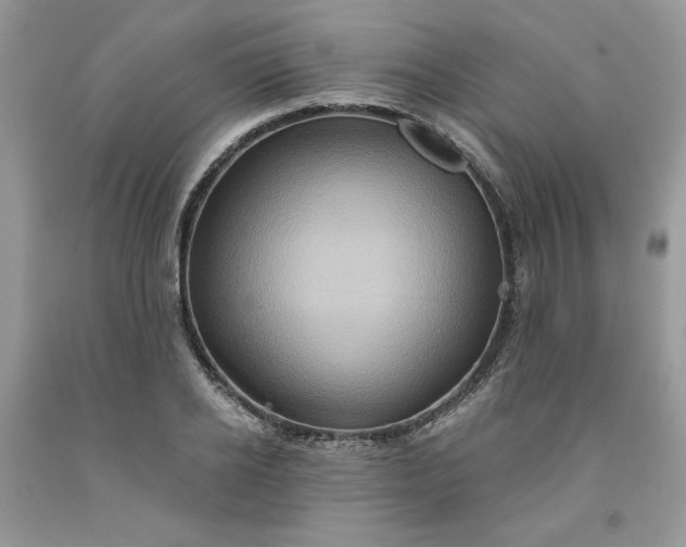 X0000091640934200709060934