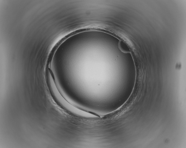 X0000091640936200709060934