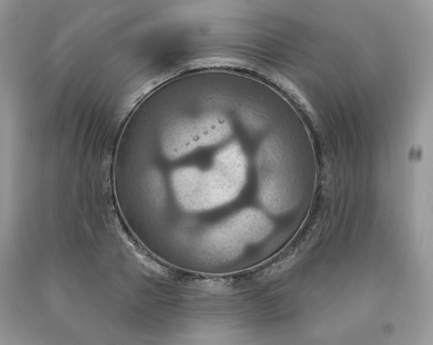 X0000091640937200709060934