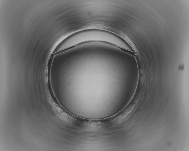 X0000091640939200709060934