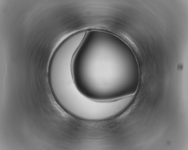 X0000091640940200709060934
