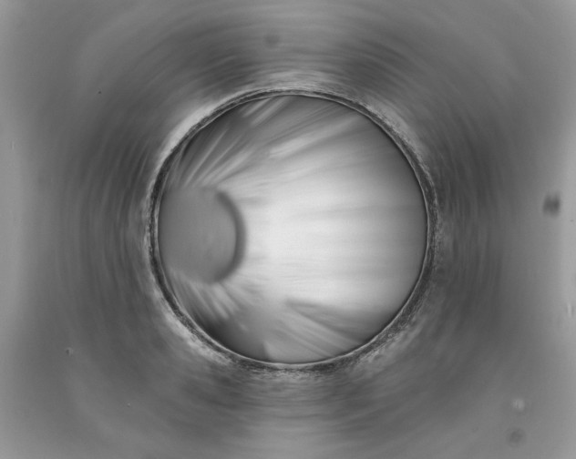 X0000091640941200709060934