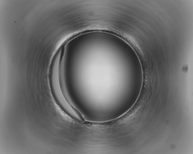 X0000091640942200709060934