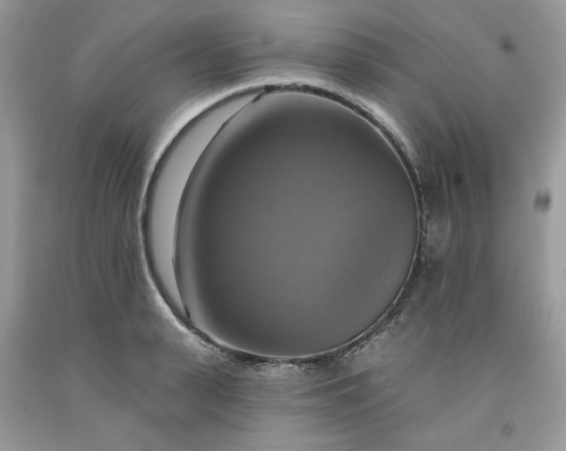 X0000091640943200709060934