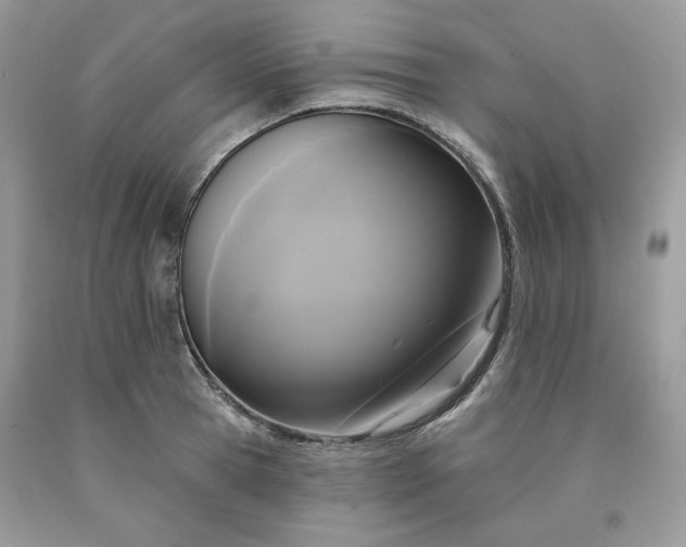 X0000091640945200709060934
