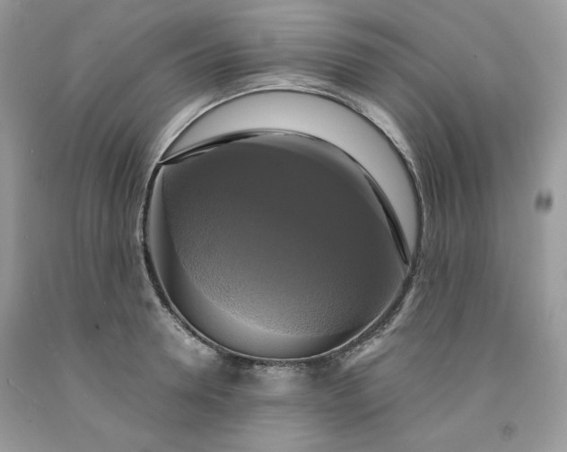 X0000091640946200709060935