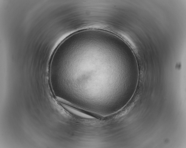 X0000091640948200709060935