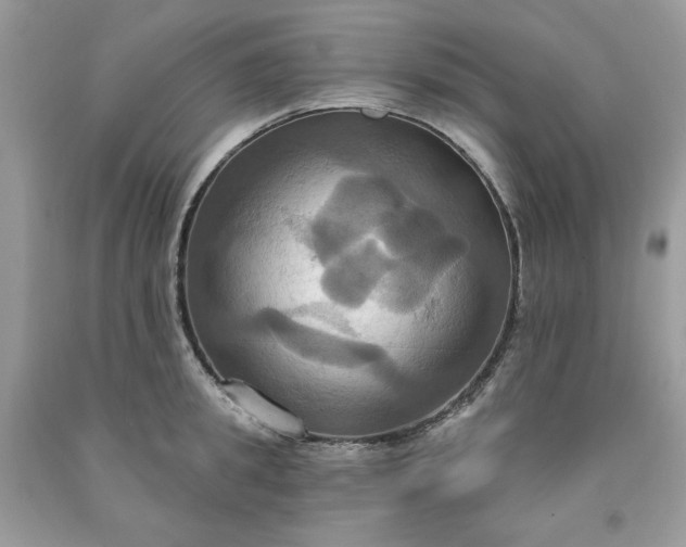 X0000091640949200709060935