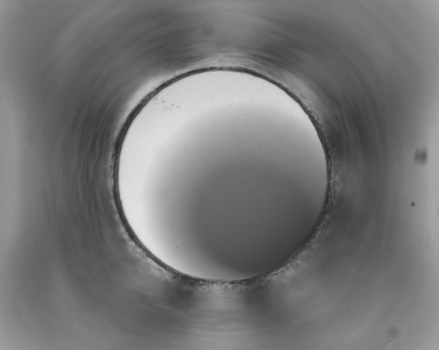 X0000091640950200709060935