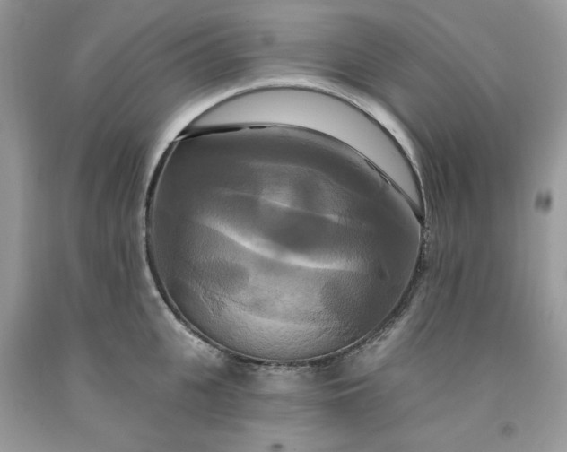 X0000091640951200709060935