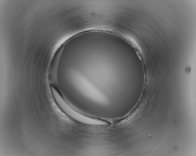 X0000091640952200709060935