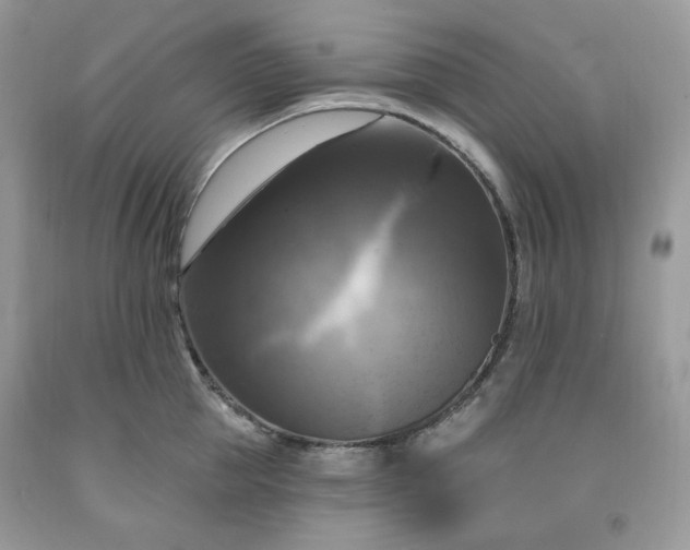 X0000091640953200709060935