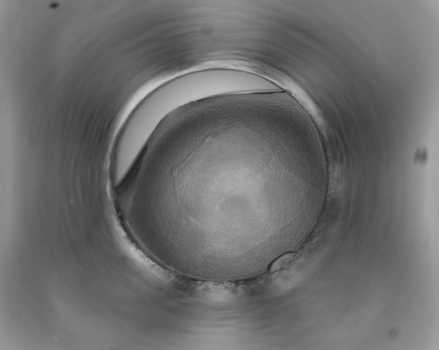 X0000091640955200709060935