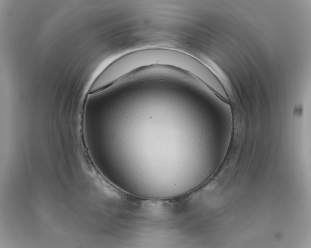 X0000091640956200709060935