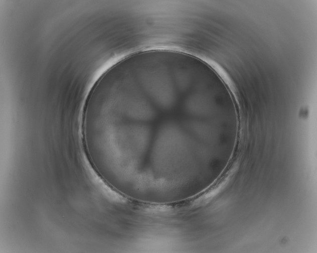 X0000091640957200709060935