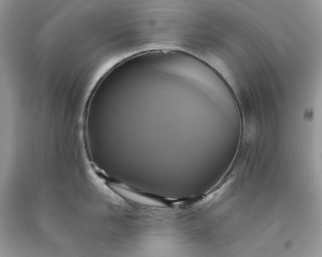 X0000091640958200709060935