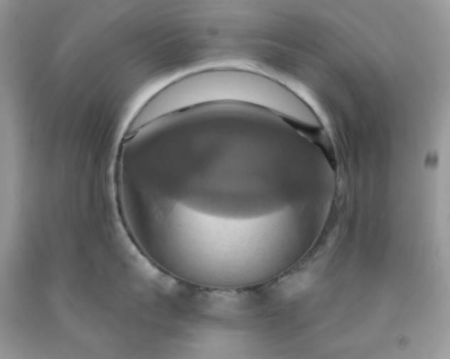 X0000091640959200709060935